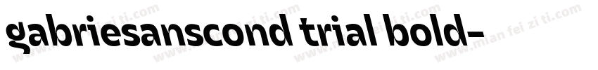 gabriesanscond trial bold字体转换
